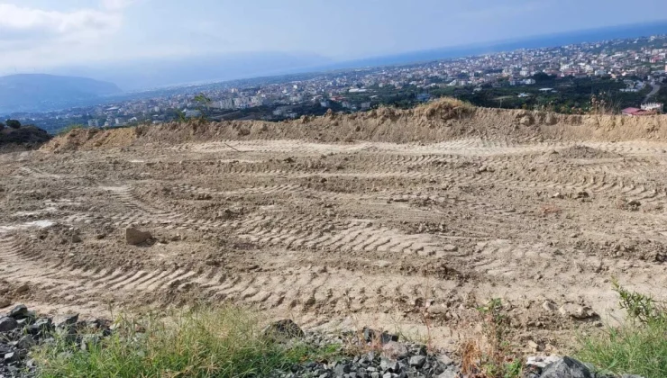 Hatay’da deprem sonrası zeytinlik alanda mezar kazıldı, ağaçlar söküldü