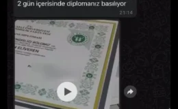 Sosyal medyada sahte lisans diploması 25 bin TL