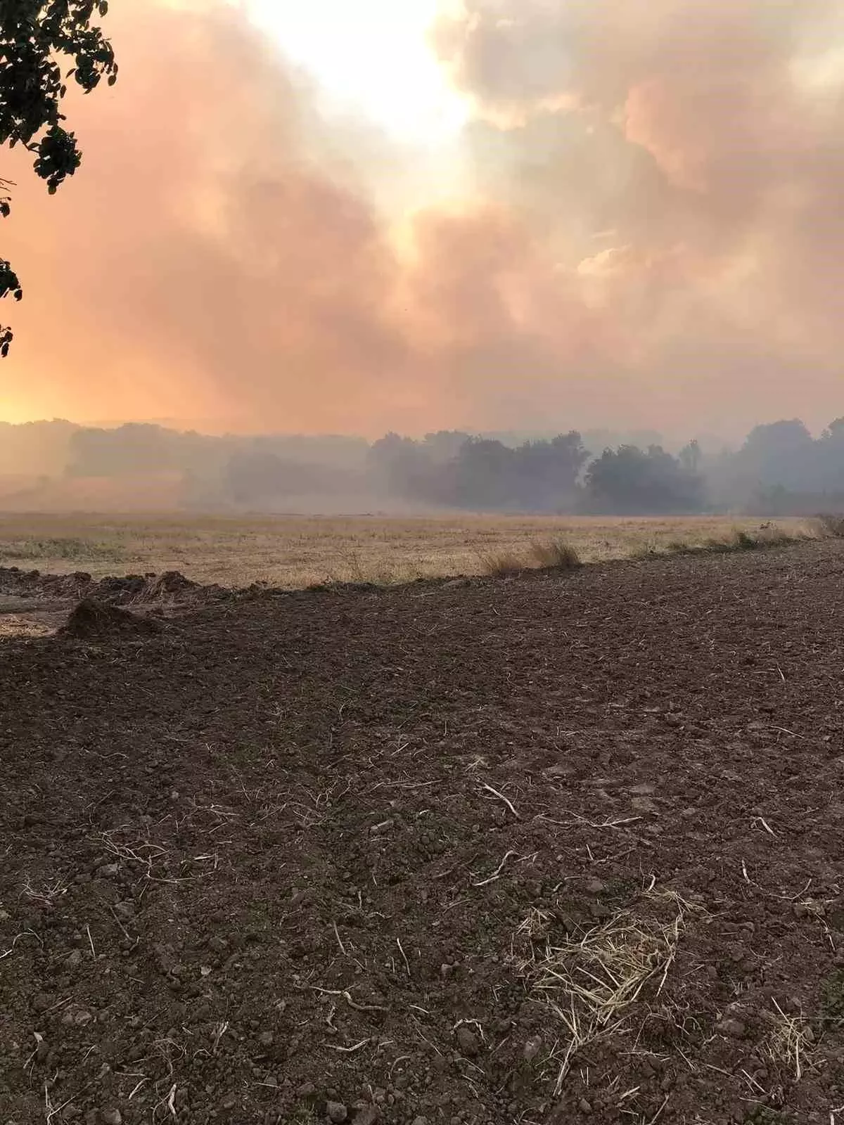 Bulgaristan’da çıkan orman yangını Edirne sınır köylerine kadar ulaştı