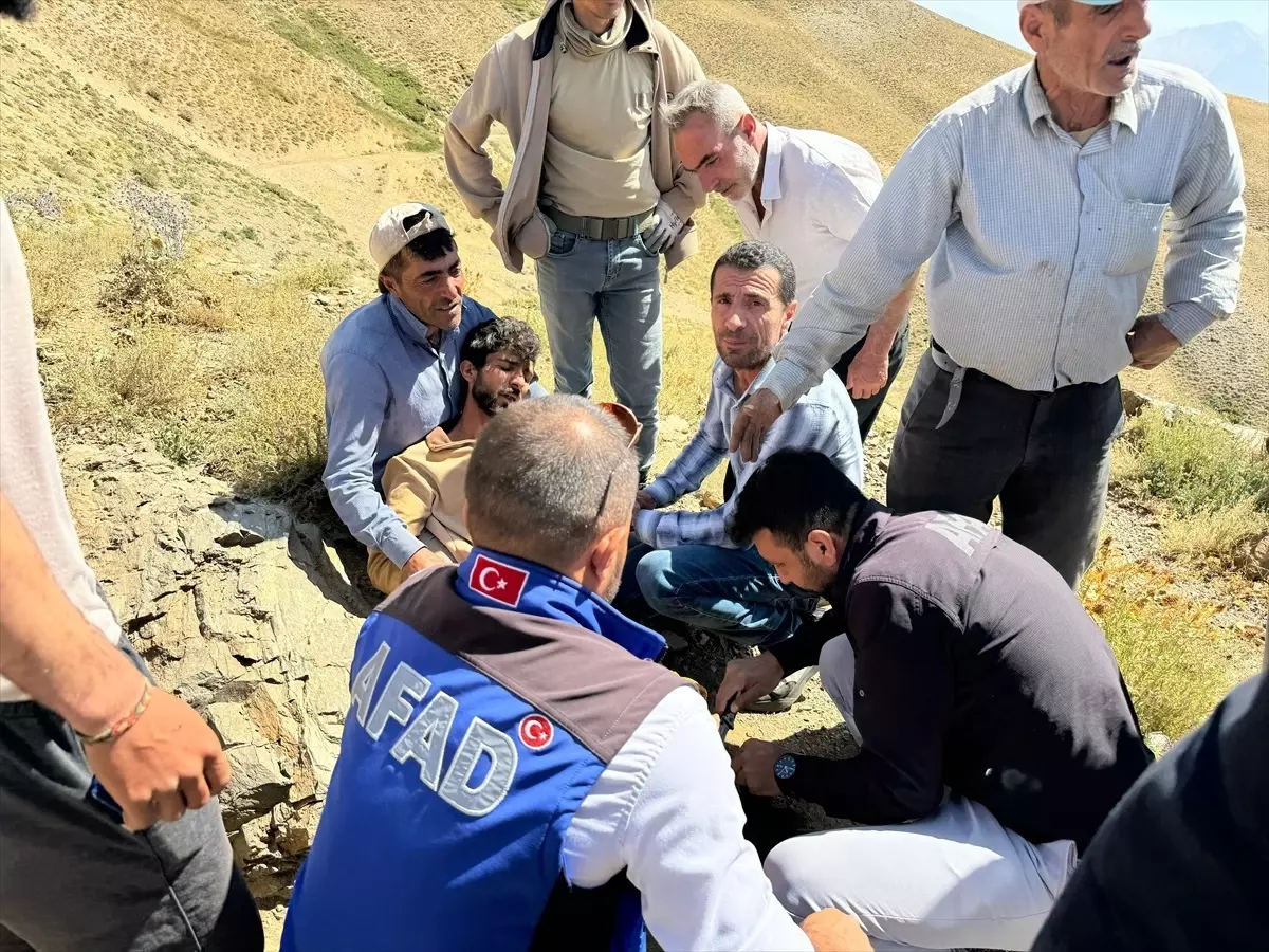 Hakkari’de Ayı Saldırısı Sonucu Yaralanan Çoban Hastaneye Kaldırıldı