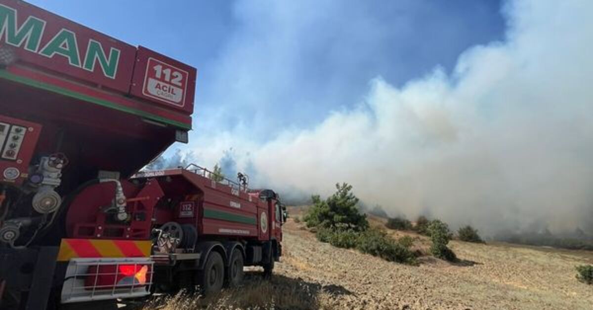 Kahramanmaraş’ta çıkan orman yangınına müdahale ediliyor