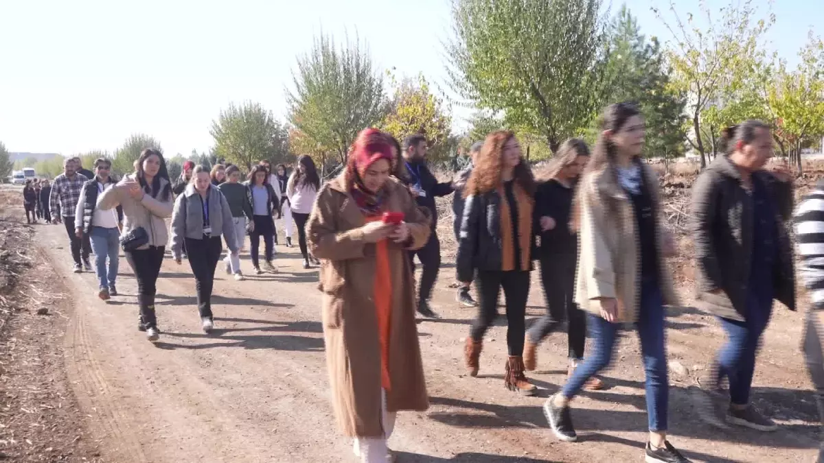 Diyarbakır’da Kadına Yönelik Şiddetle Mücadele İçin 80 Fidan Dikildi