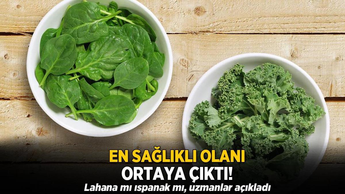 En sağlıklısı ortaya çıktı! Lahana mı ıspanak mı, uzmanlar açıkladı